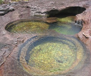 Caño Crystals Source ecoturismocolombia com